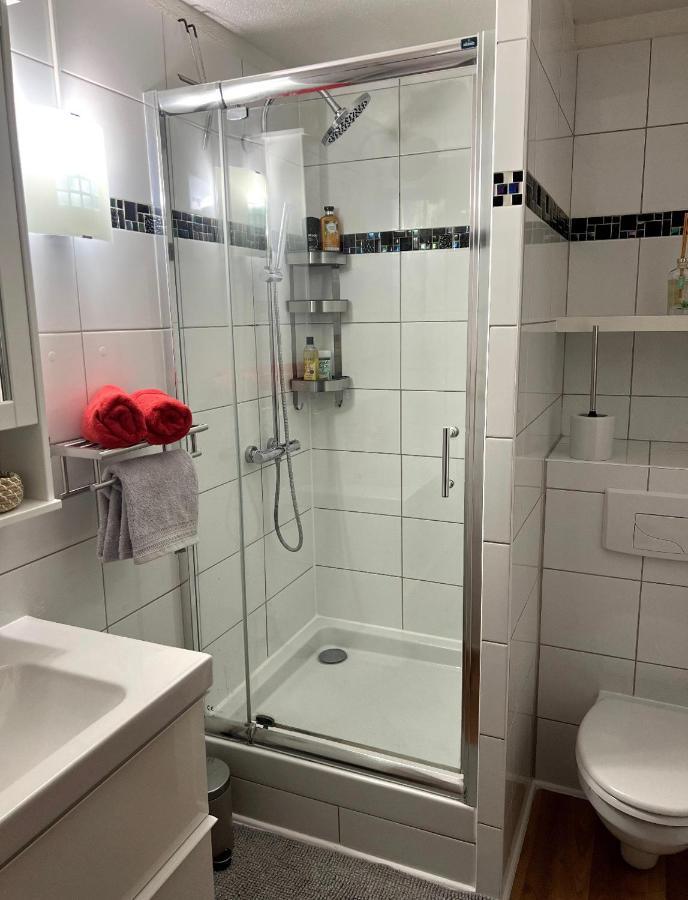 Appartement La Petite Venise Colmar Extérieur photo