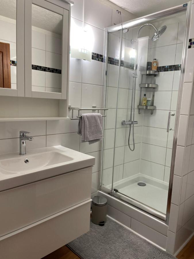 Appartement La Petite Venise Colmar Extérieur photo